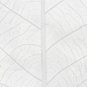 Decent Leaf