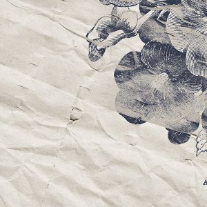 Botanical Papers
