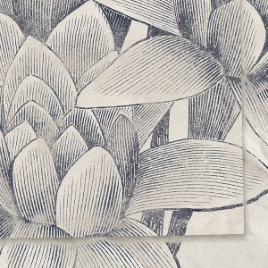 Botanical Papers