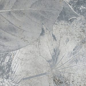 Flower Fossil