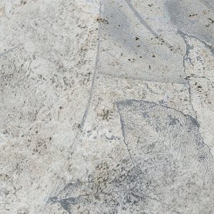 Flower Fossil