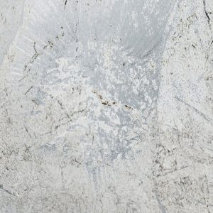Flower Fossil