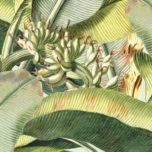 Banana Grove