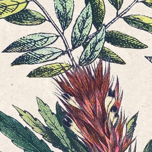 Flowering Herbs