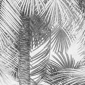 Cocco