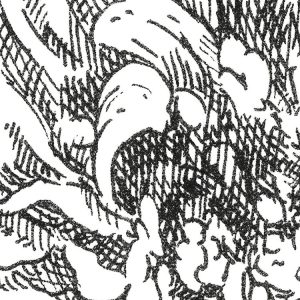 Flowerbed