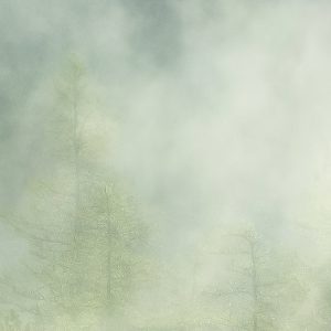 Misty Crowns