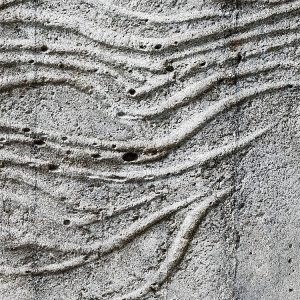 Concrete Feather