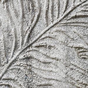 Concrete Feather