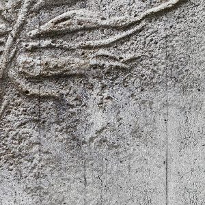 Concrete Feather