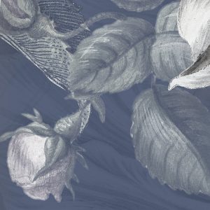 Merian Blue