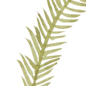 Breeze