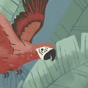 Enchanted Jungle