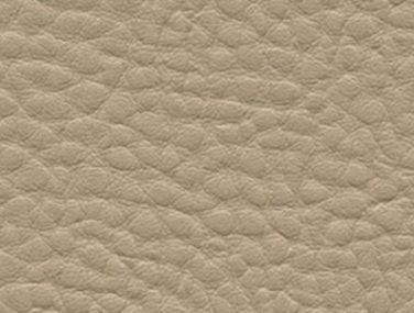 F6412033 birch