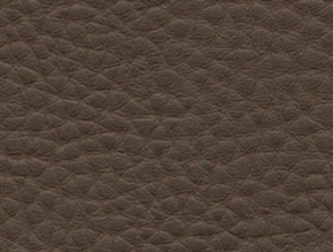 F6412038 olive brown