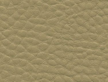 F6412043 sponge