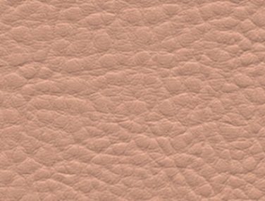 F6412044 light rose