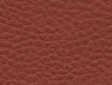 F6412046 marsala