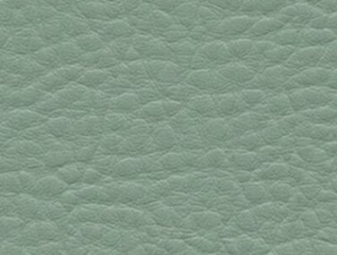 F6412056 jadeite