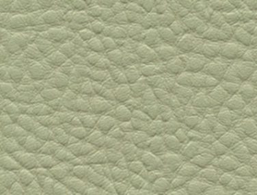 F6412071 organic green