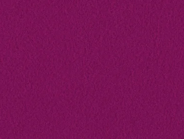 AM001-303 Tulip