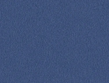 AM001-405 Blueberry