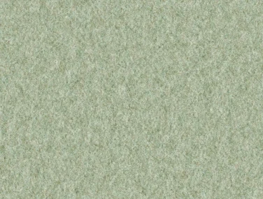 AM001-501 Lambs Ear