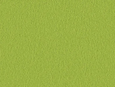 AM001-501 Lime