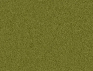 AM001-506 Olive