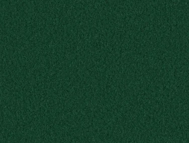AM001-507 Evergreen