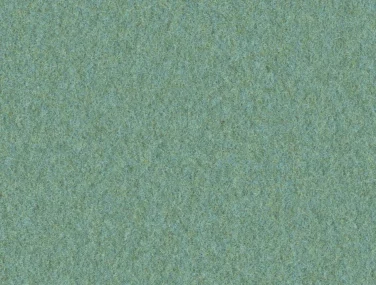 AM001-508 Parakeet