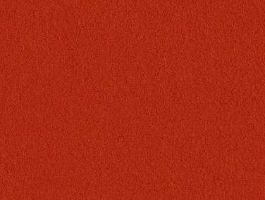 AM001-702 Tomato
