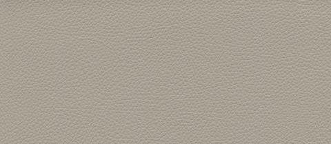 skai swatch F6471004, stone