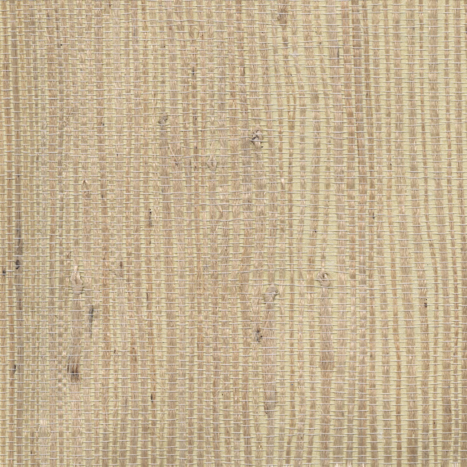Kostya Beige Grasscloth Wallpaper
