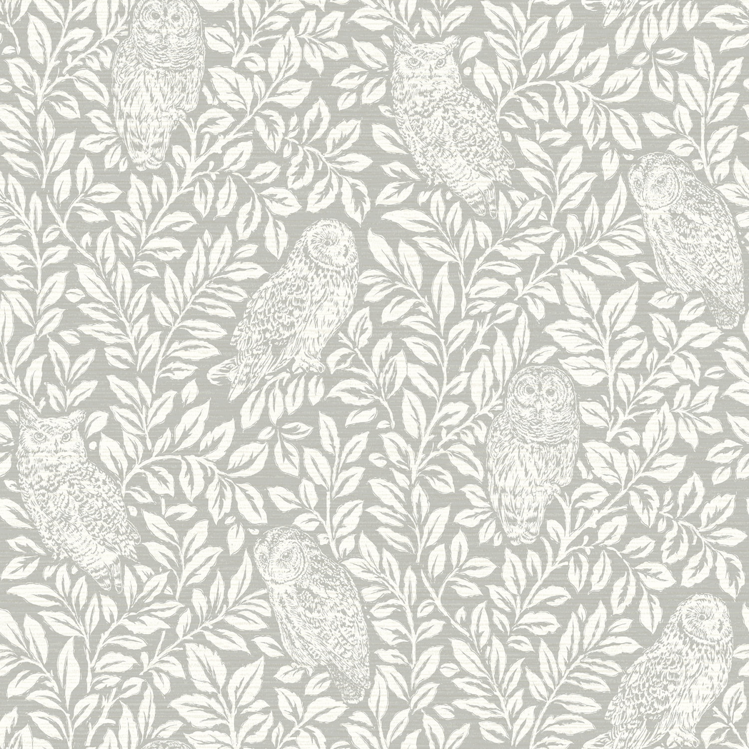 Parliament Grey Owl Wallpaper
