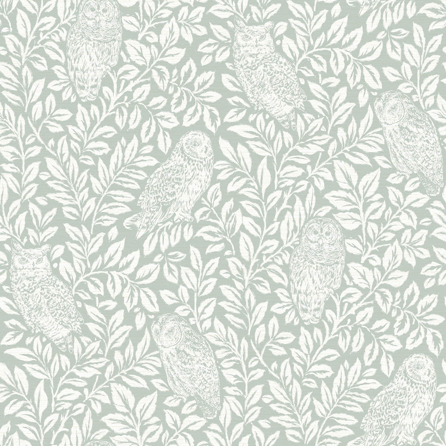 Parliament Seafoam Owl Wallpaper