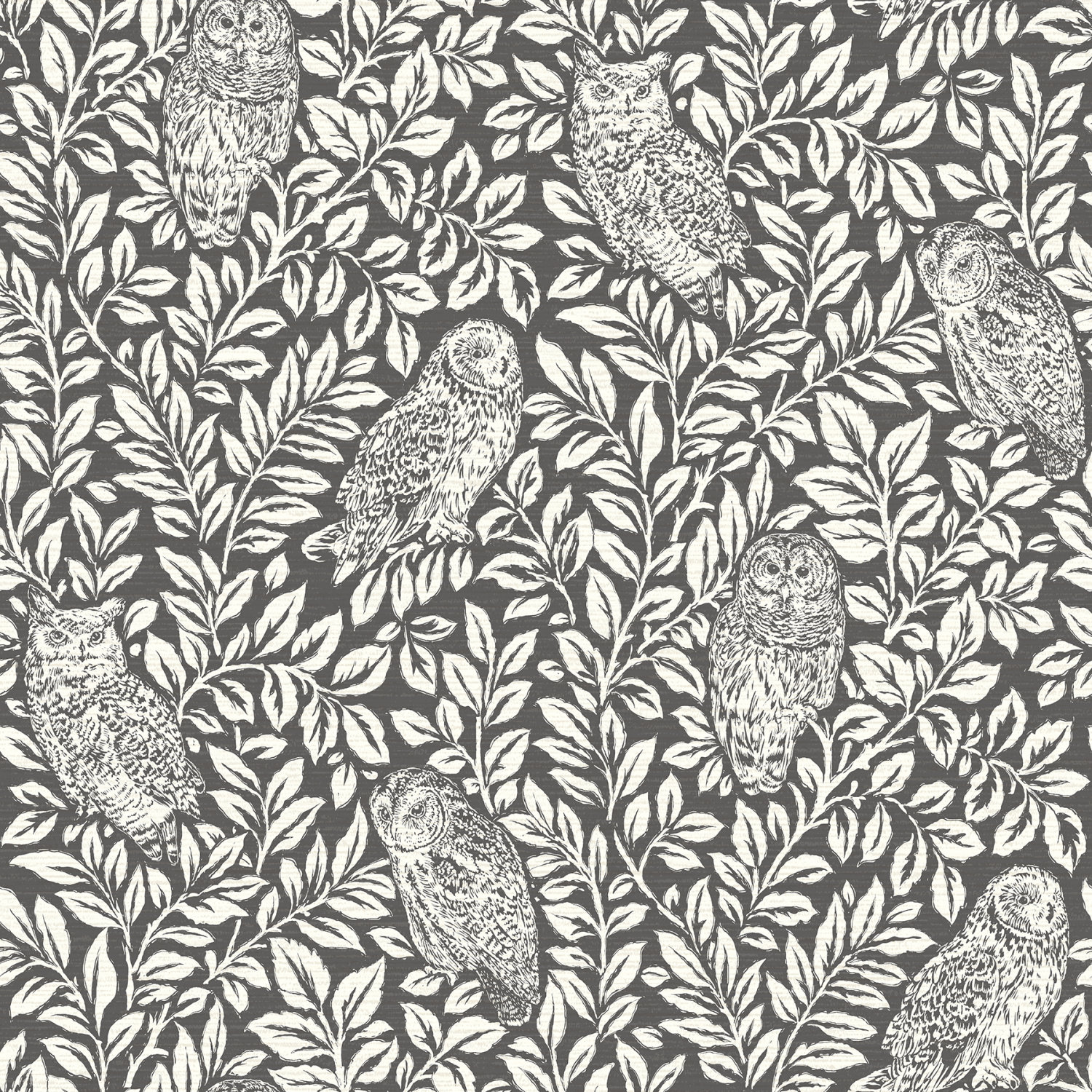 Parliament Charcoal Owl Wallpaper