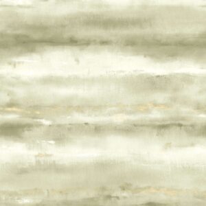 Florentine IV 367591