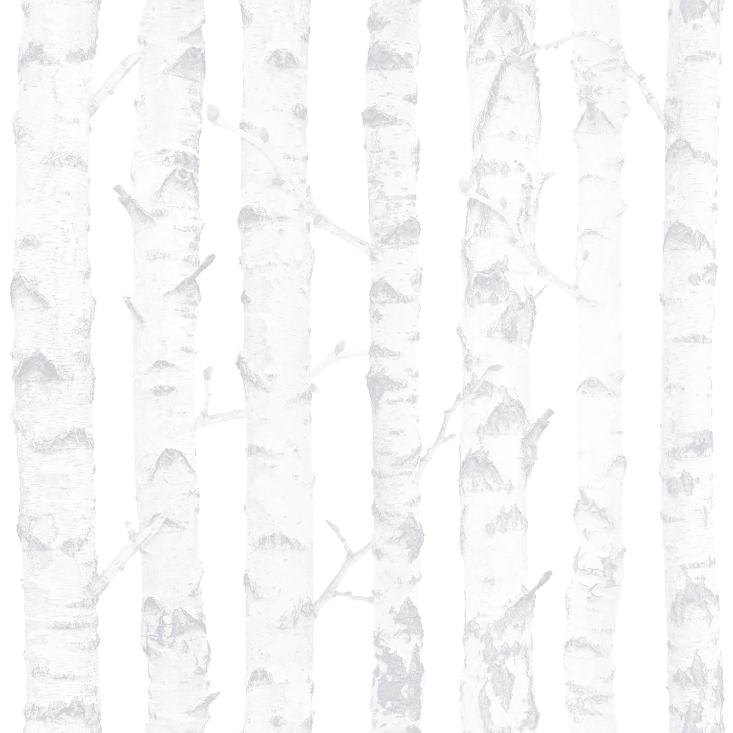 Birdie Grey Birch Wallpaper
