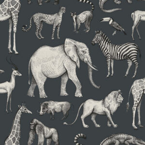 Kenji Navy Safari Wallpaper