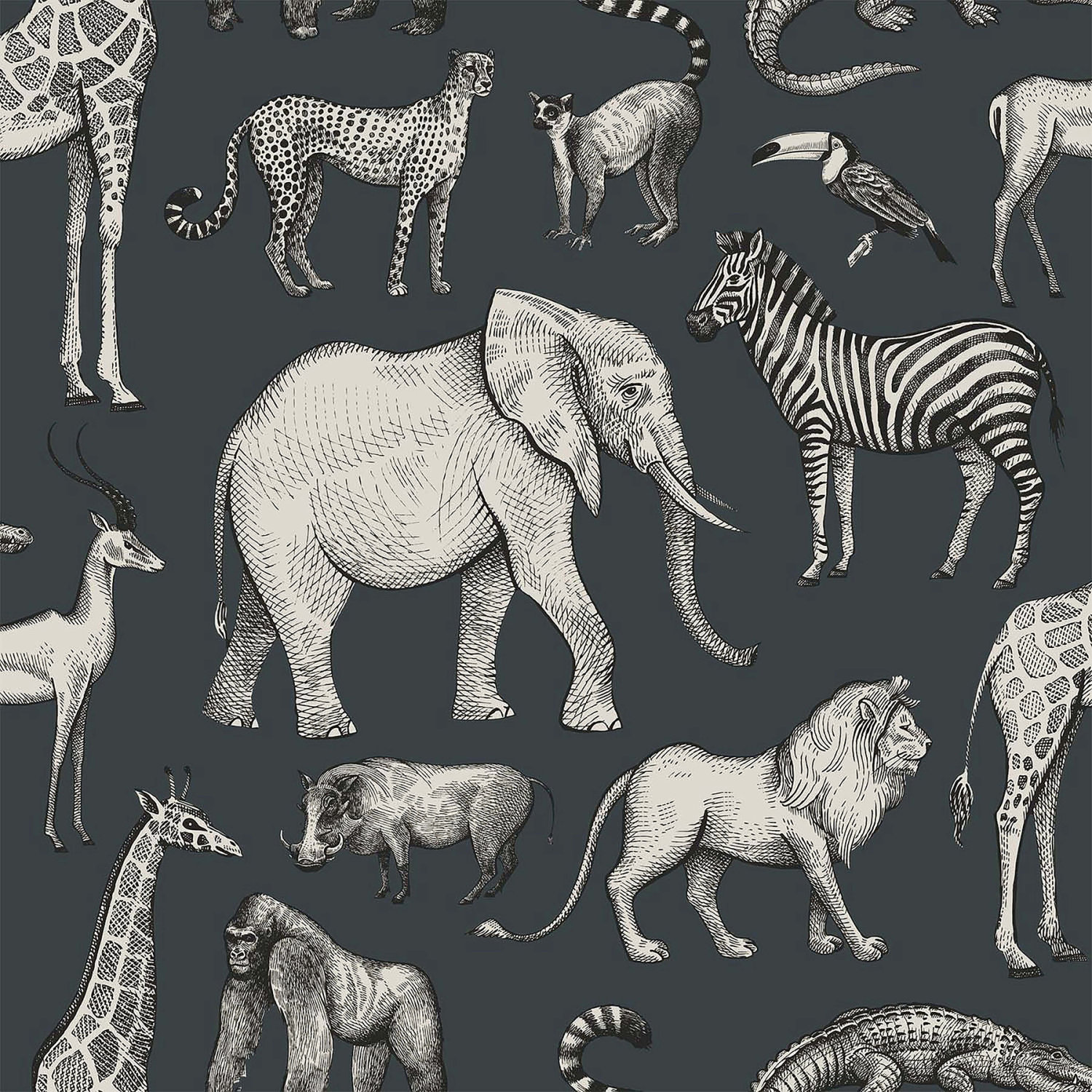 Kenji Navy Safari Wallpaper