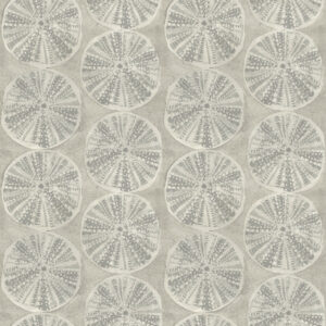 Sea Biscuit Grey Sand Dollar Wallpaper