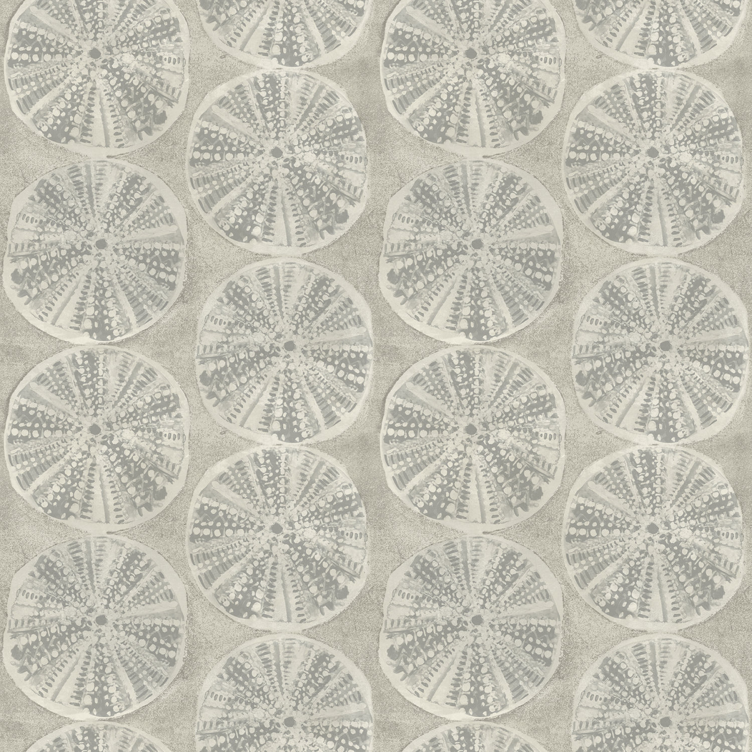Sea Biscuit Grey Sand Dollar Wallpaper
