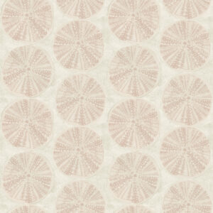 Sea Biscuit Peach Sand Dollar Wallpaper