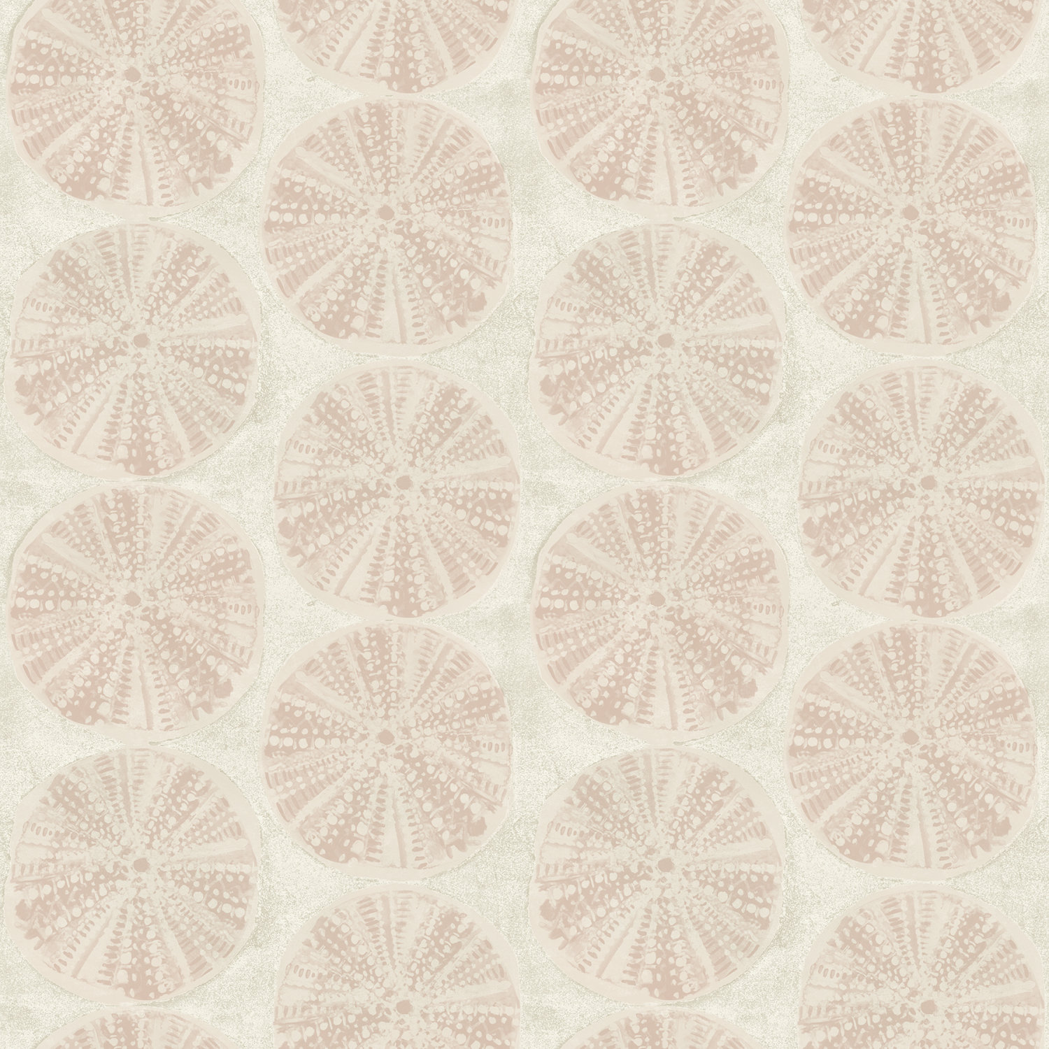 Sea Biscuit Peach Sand Dollar Wallpaper