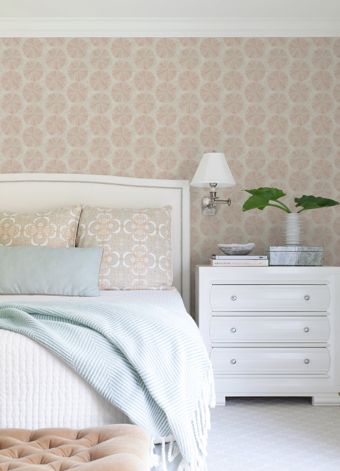 Sea Biscuit Peach Sand Dollar Wallpaper