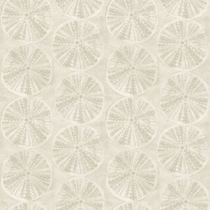 Sea Biscuit Beige Sand Dollar Wallpaper