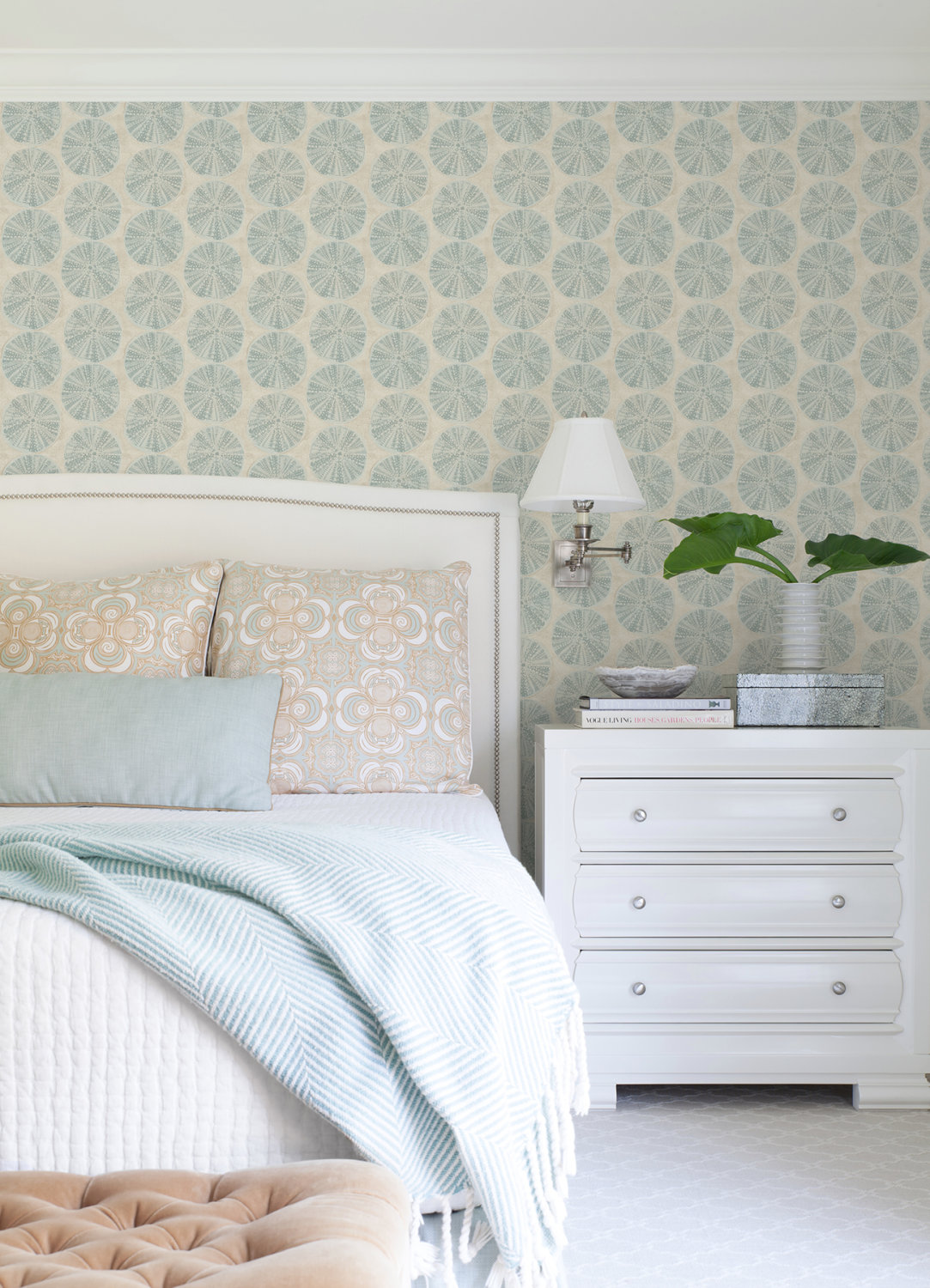 Sea Biscuit Aqua Sand Dollar Wallpaper