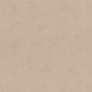 Beachhouse 408164