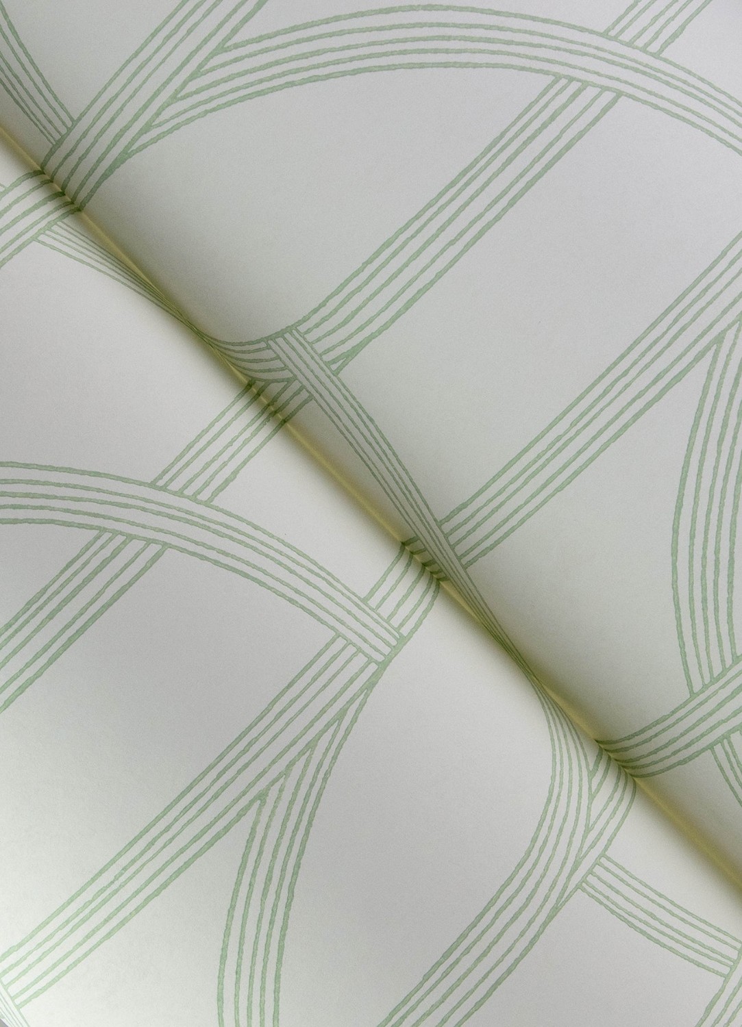 Salvo Light Green Curved Contours Wallpaper
